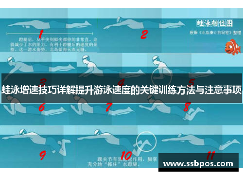 蛙泳增速技巧详解提升游泳速度的关键训练方法与注意事项